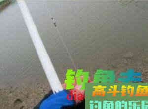 鱼口轻时不好钓？那也要看线组如何搭配，如何调漂