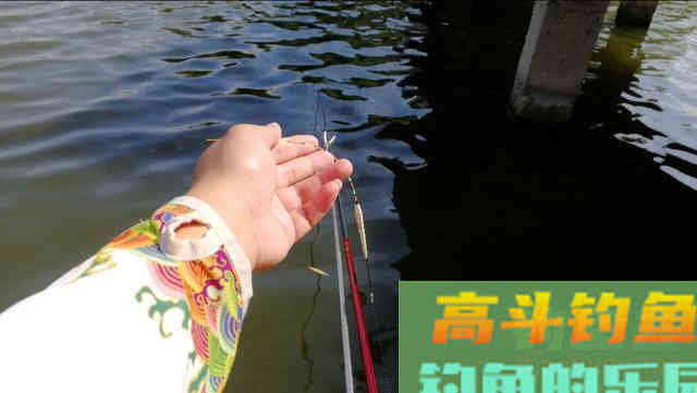 为什么你总是调不好漂，就因为你没有这样的调钓理念