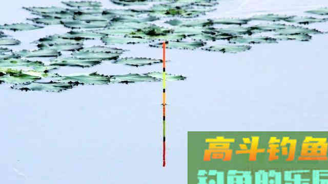 秋季野钓你还在用调四钓二吗？ 这样调漂，连杆不断