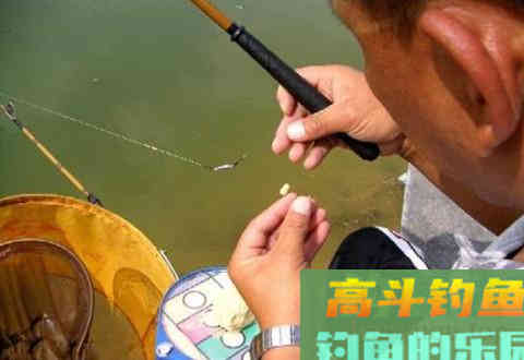 钓鱼调漂不能忽视的4个细节