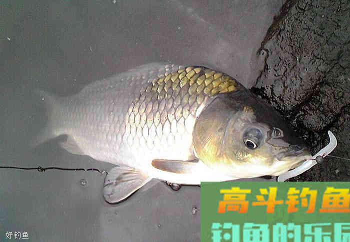 这个调漂的变化让我最终没有空军