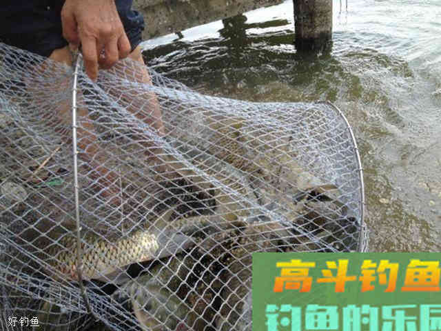 初冬钓鱼老是空竿都是这两种漂相误区惹的祸