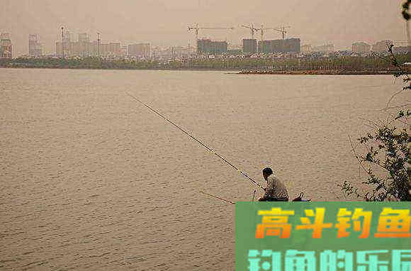 只钓灵不钓钝，钓底钓浮都随意，带饵调漂