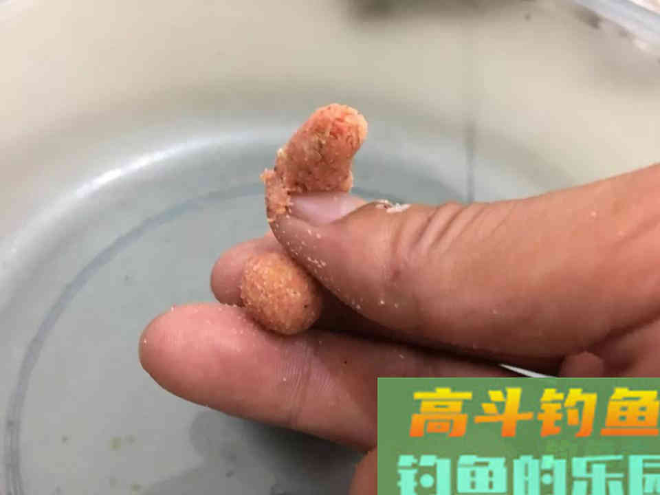 钓浮需要钓多深？钓半水、钓离底和钓水皮的区别和应用