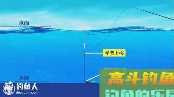 底钓大鱼的调钓技巧详解