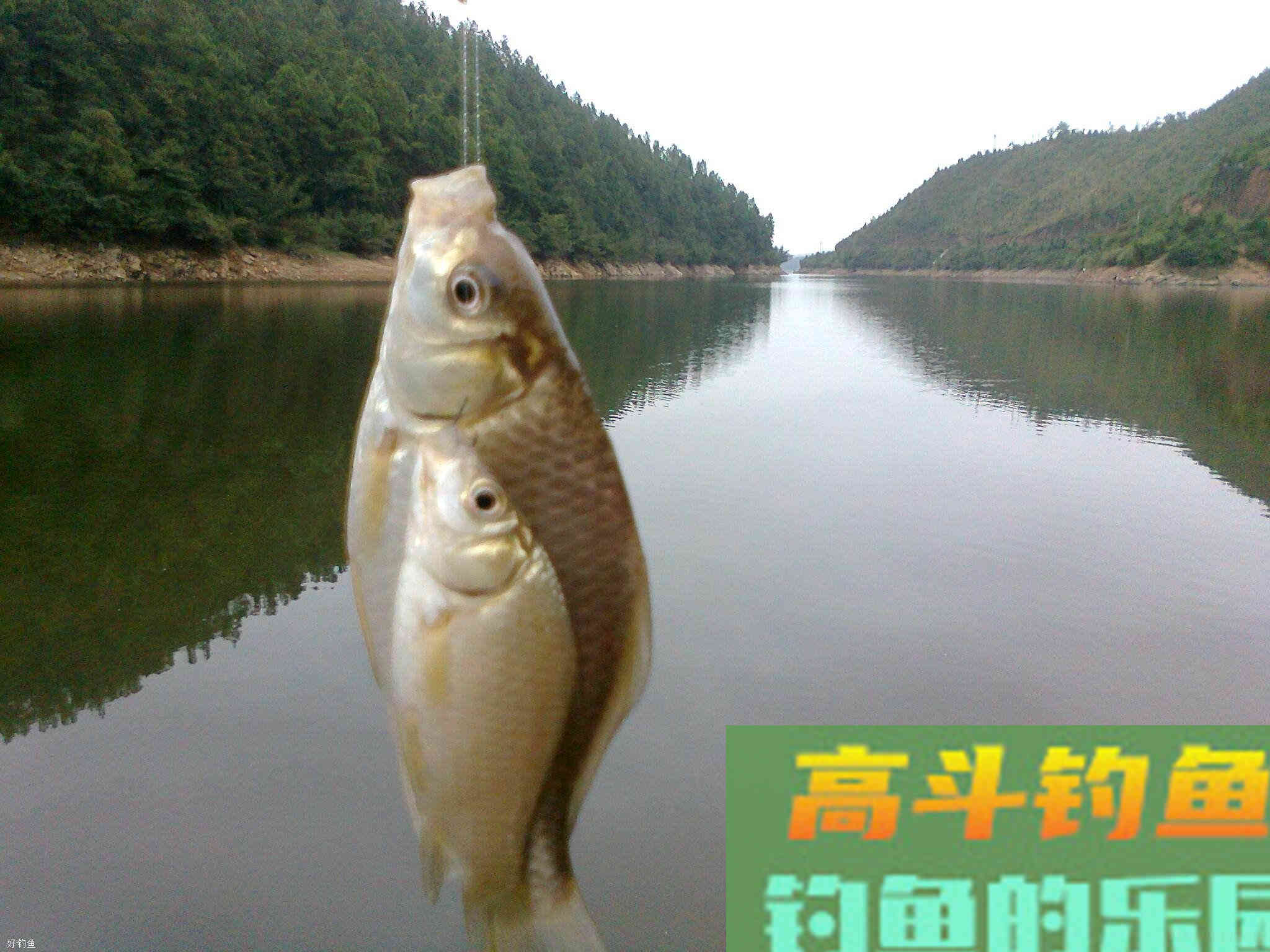调四钓二饵料重不到底？解决方法了解一下