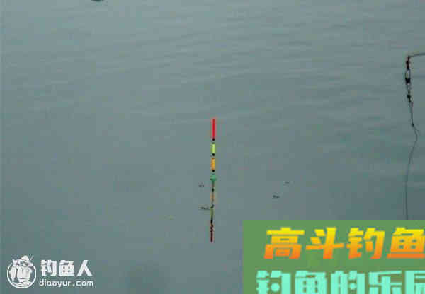 关于台钓浮漂的灵钝相关的诸因素