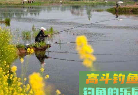 春季浅滩钓鲫鱼，台钓应该如何调漂？