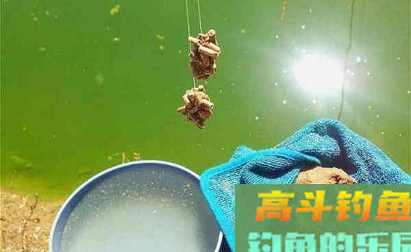 钓鱼调漂技巧：用饵重量不同，调漂方法大不同