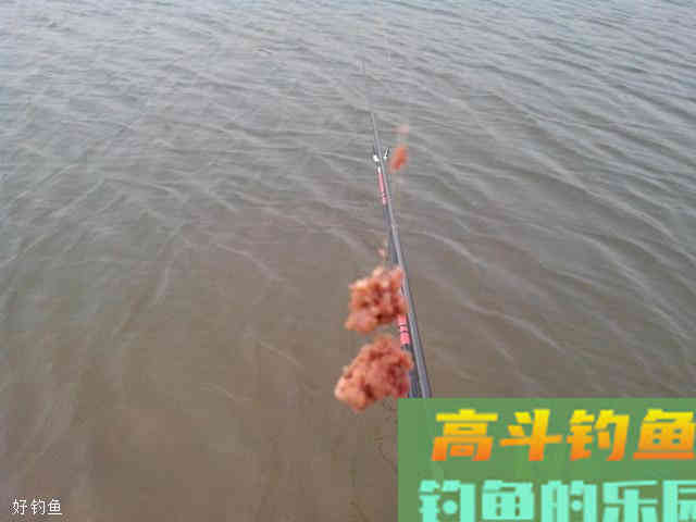 台钓的3大常用调钓手法