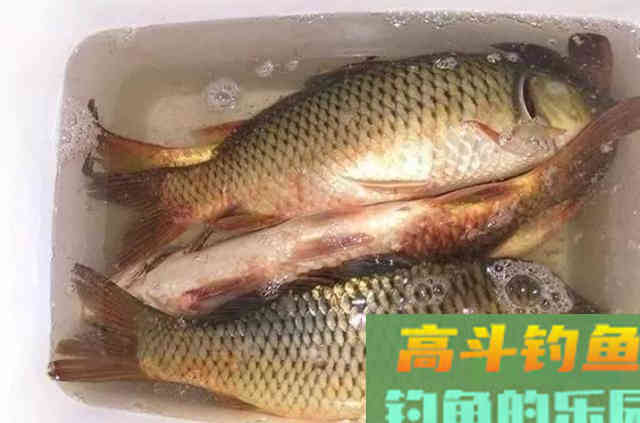 调漂过程中，需要钓友牢牢记住的2个冷知识