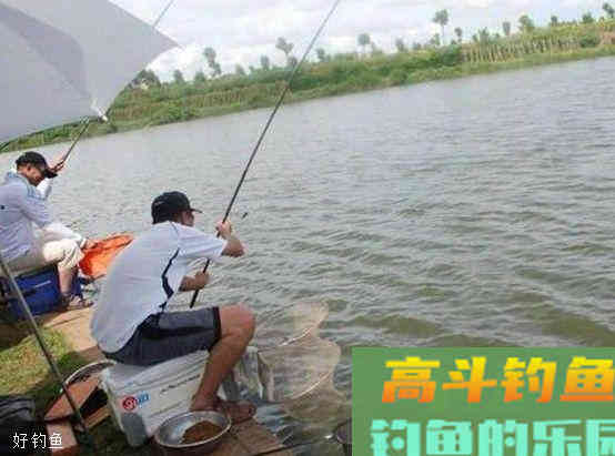 钓鱼怎么调漂？不同水域作钓，有不同的调漂方法