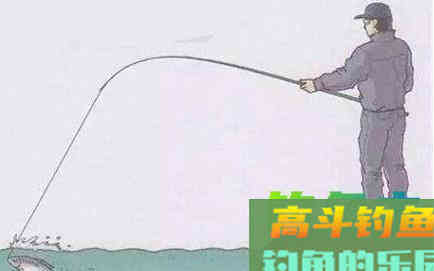 台钓怎么钓灵钓顿？要看实际鱼情