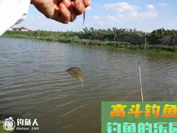 各种情况下调漂的疑难杂症应对妙招