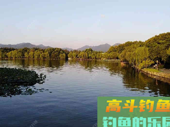 调钓灵与钝反映在子线上的表现，调漂概念由浅入深解析