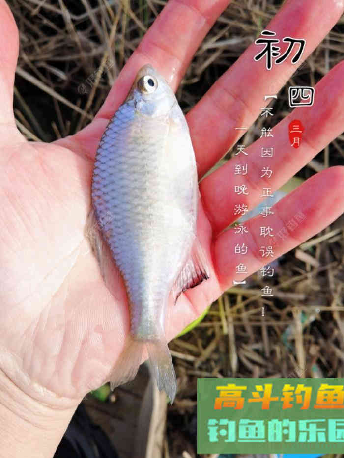 什么情况要调平水钓一两目，话空钩半水调漂