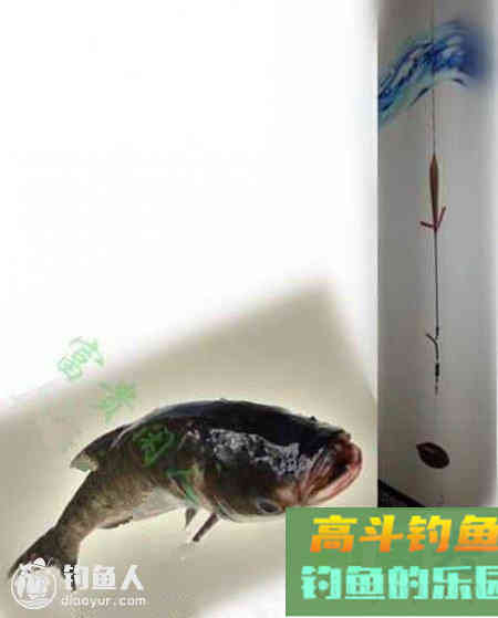 台钓鲢鳙鱼的三种自创调漂方法