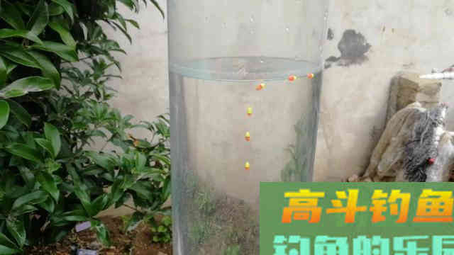七星漂别再只会钓铅到底了，教你这样调秒变悬坠钓
