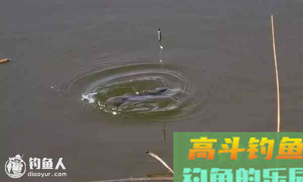钓鱼的11个漂相，看后钓鱼不愁了