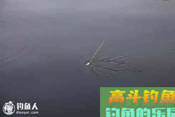 鱼吃食与浮漂调整的关系