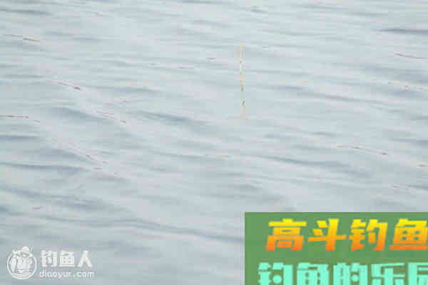 浅谈钓鱼鱼漂与真实鱼讯的识别