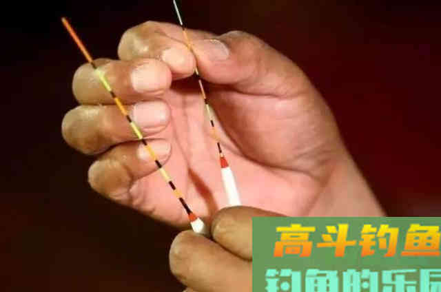 钓鲤鱼的调漂方法，根据十多年的作钓经验总结