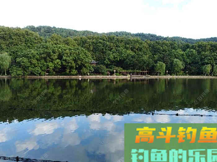浮漂性能与调钓技巧，调好漂是爆护最关键一步