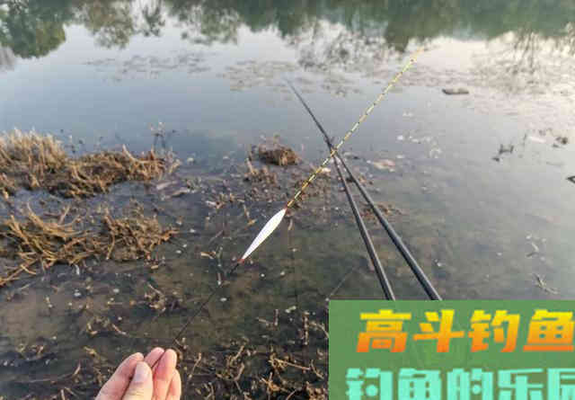 调漂测钩重是故弄玄虚？告诉你为什么要测钩重