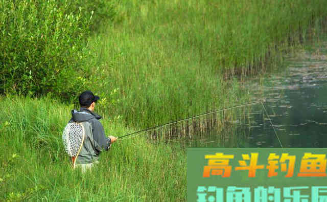 调好的目数，没钓一会就变了！什么原因