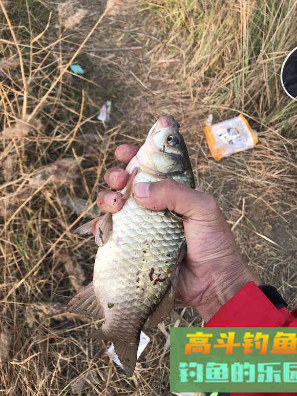 冬天钓鱼调漂，这个选择出乎意料