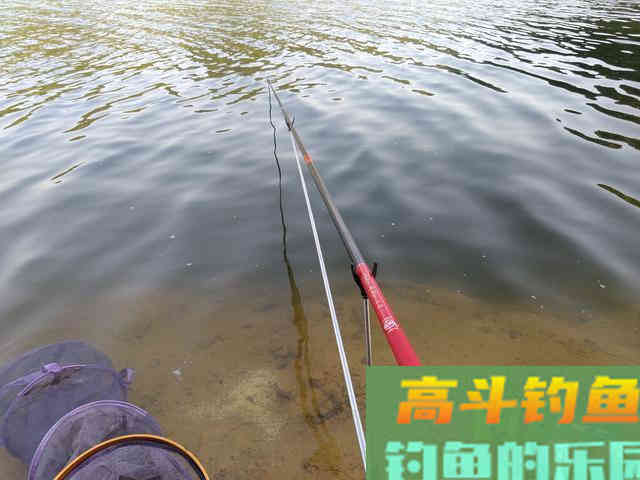 自从学会调漂渔获就差了？只是进入误区
