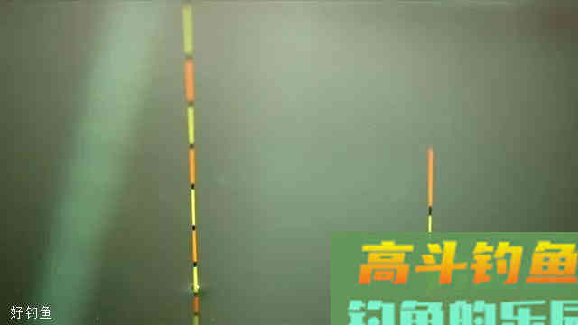 夏季野钓，选好漂和调好漂才是王道