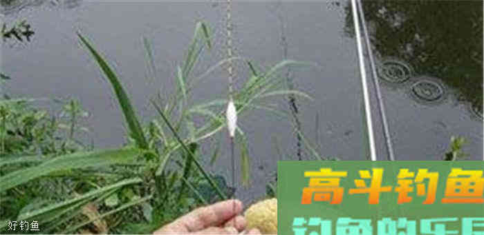老钓鱼人告诉你野外钓小鱼的调漂技巧，简单有效