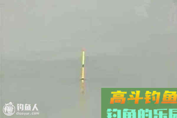 手竿钓鱼的实钩调漂法分享