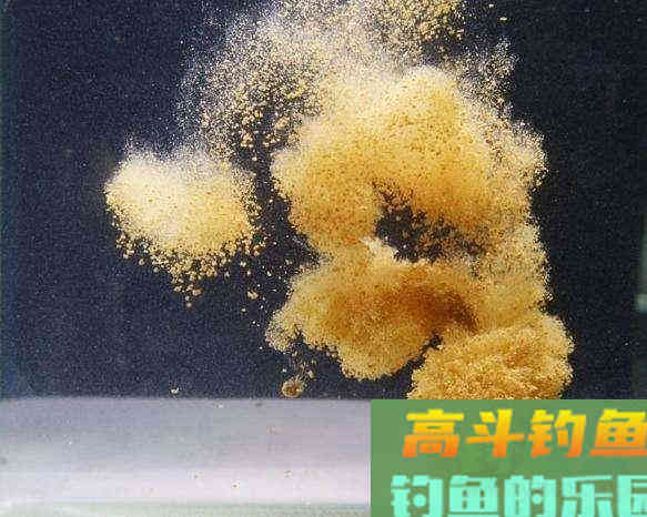 浮漂翻身后，为什么钓目时而增目、时而减目？6个情况