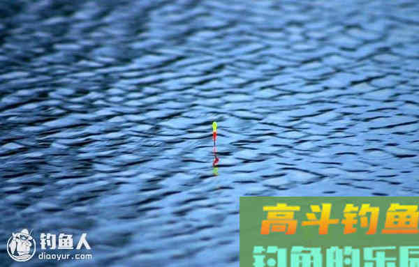 关于钓鱼浮漂漂讯的寻找问题