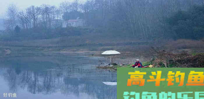 手竿调漂把握住，这7点，提竿必中鱼