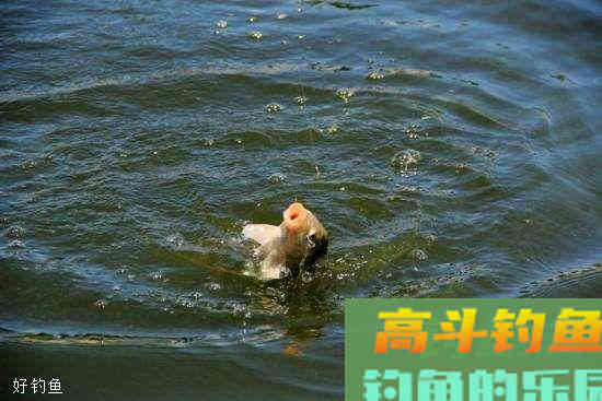 调一钓二和调三钓二的这些差别，你清楚吗？