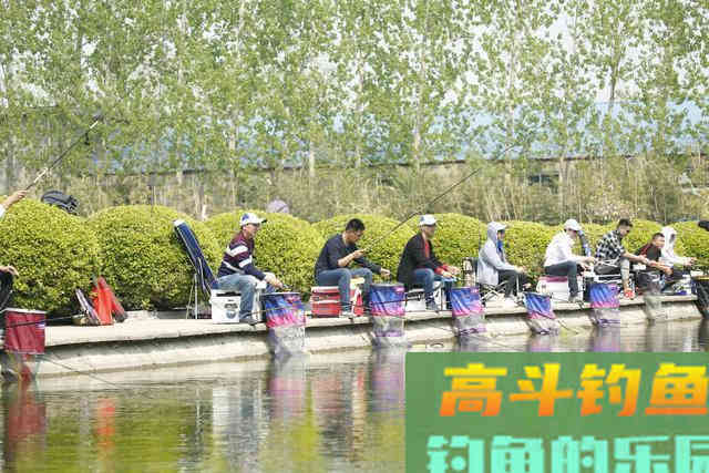 秋天钓鲤鱼，老钓手这么“调钓”，上鱼率高的不像话