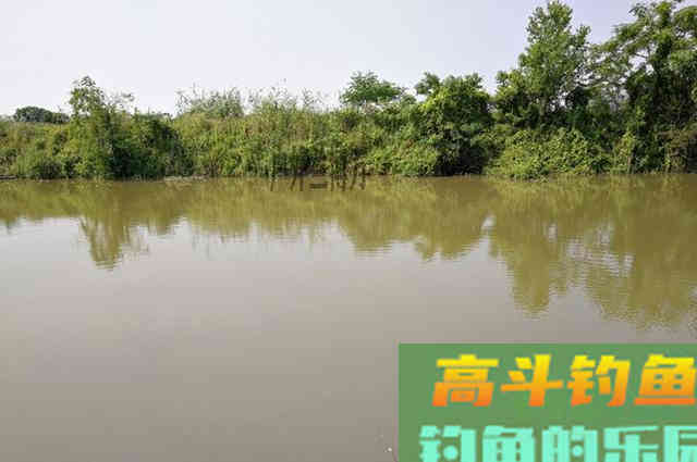 鱼口变差，应该及时调整作钓技巧