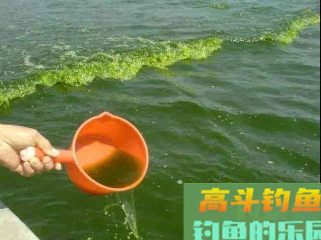 掌握浮漂调钓关键，应根据鱼情水情来改变