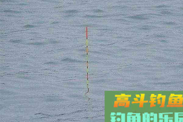 只钓灵不钓钝，钓底钓浮都随意，带饵调漂