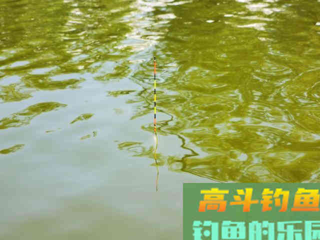 浮标调钓不是个公式，调几钓几也有所不同