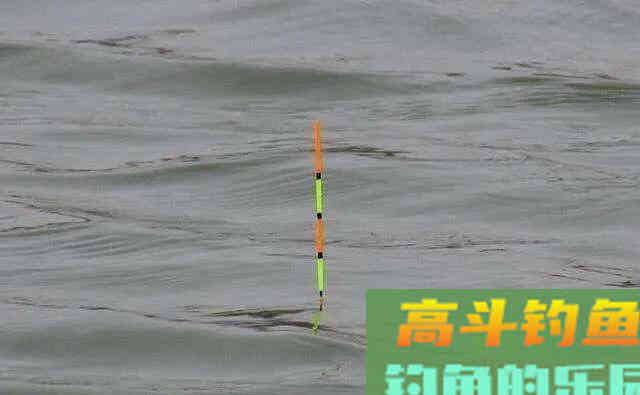 深度解析钓鱼看漂应如何正确抓口？提高中鱼率！