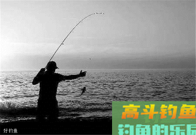 教你从2个方面掌握台钓浮力中心点