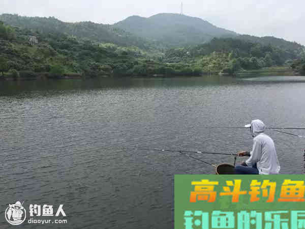 台钓的四个调漂技巧，助你钓大鱼