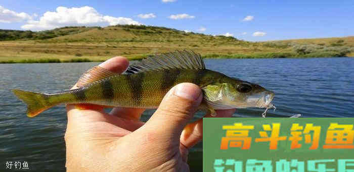 看看那些正确用漂的方式，获鱼与惊喜不期而遇