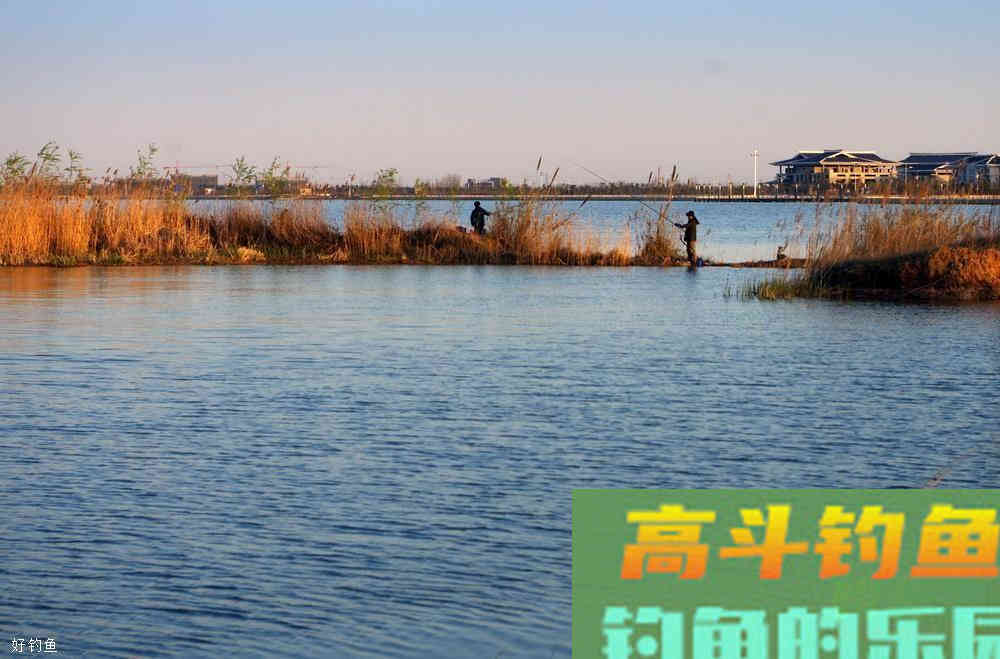 野钓调几钓几最好？介绍一种简单实用的调漂方法