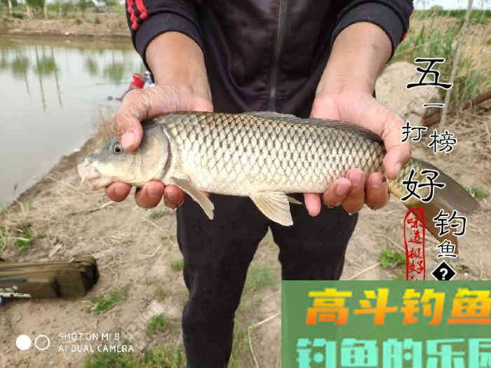 什么情况要调平水钓一两目，话空钩半水调漂