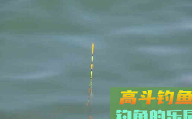调钓不建议随时都操作，遇到这几种情况就要